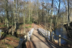 Meijendel1