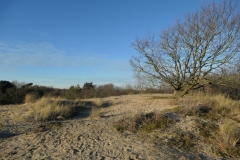 Meijendel6