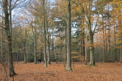 Breda1