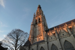 Breda11