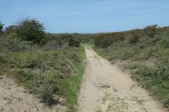 Kennemerduinen1