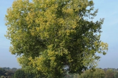 ZuidLimburg11
