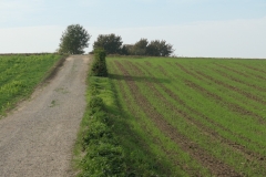 ZuidLimburg12