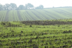 ZuidLimburg3