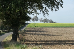 ZuidLimburg5