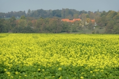 ZuidLimburg6