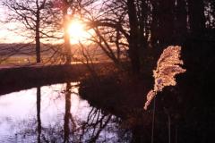 Horsten13