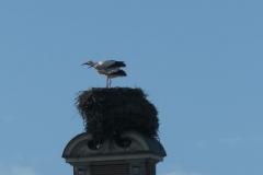 Wassenaar1