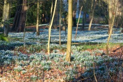 Wassenaar2