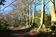 Wassenaar3