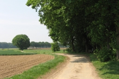 Roermond2