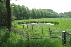 Roermond3