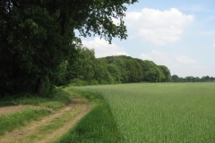 Roermond5