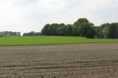 Roermond7