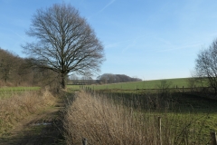 Sittard10