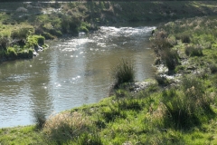 Sittard2