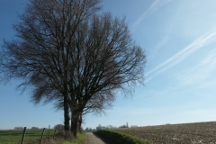 Sittard3