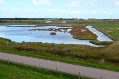 Texel1