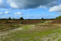 Texel10