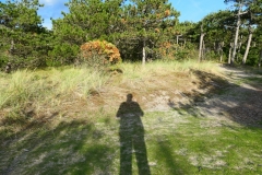 Texel11