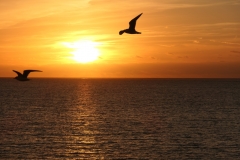 Texel13