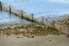 Texel2