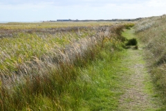 Texel3