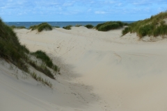 Texel4