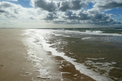 Texel5