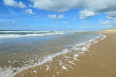 Texel6