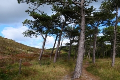 Texel8